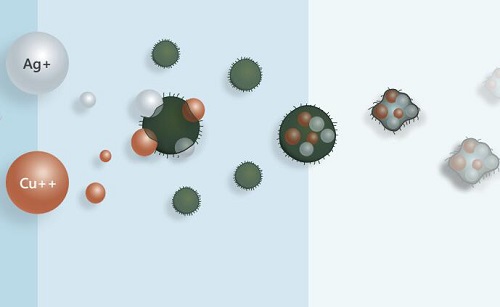 病毒細菌 病毒細菌